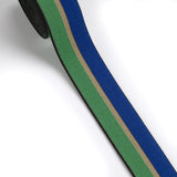 1 inch (25mm) Wide Blue/ Purple/Green/Yellow/White Stripe Elastic Band - 1 Yard